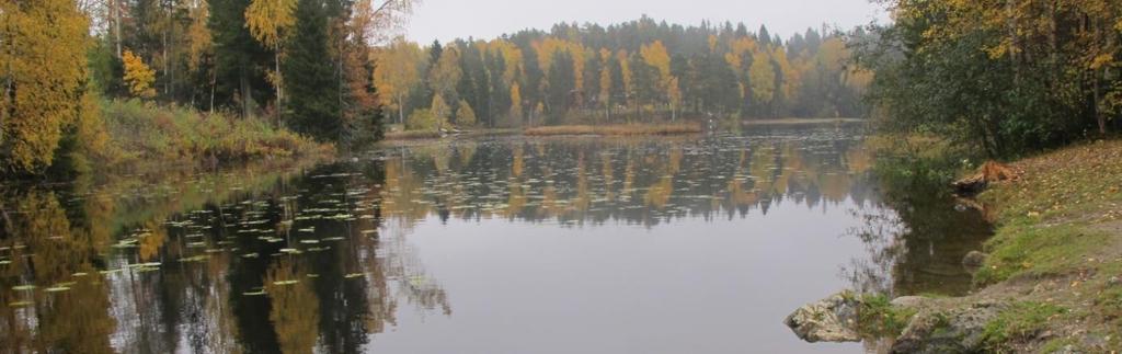 Vurdering og verdisetting Naturtype og vegetasjonstype: Nedre Drengsrudtjern er mesotrofe kalksjø (E07) med godt utviklet vannvegetasjon.