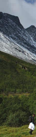 18. STEINDALSBREEN km Ved Akselstua, skiltet IMA Tursenter fra veien Delvis