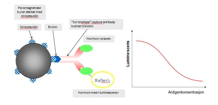 TSH) Roche