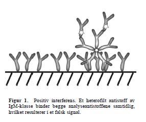 >Figur Fra Norsk Epidemiologi 2006;16 (1):29 33, Bjerner og Nustad Makroprolaktin Prolaktin kan forekomme i forskjellige molekylære former, bl.a. big big prolaktin (makroprolaktin).