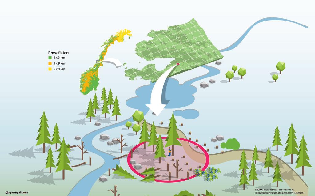 Figur 1. Landsskogtakseringens ordinære prøveflatenett. I barskog er forbandet 3km x 3km, over barskoggrensen 3km x 9 km og i bjørkeskogområdene i Finnmark er forbandet 9 km x 9km.