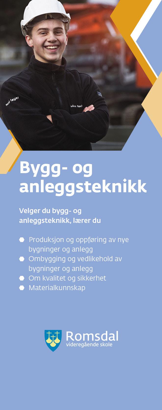 Alle logoar har fylkes våpenet som felles grafisk element og skriftoppsettet i logoane er òg heilt like.