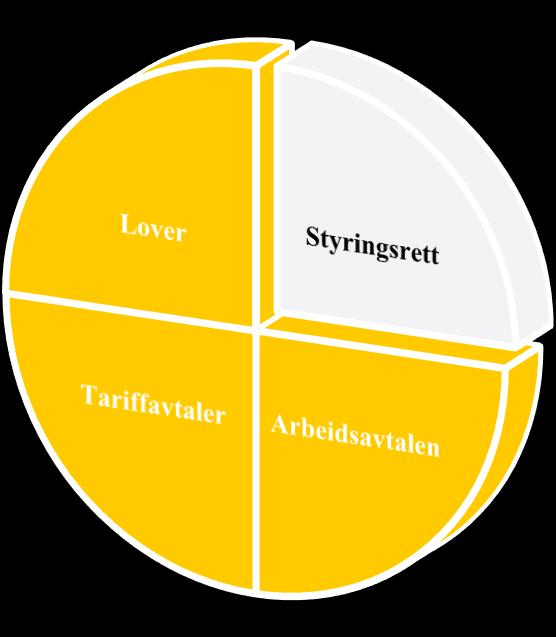 Arbeidsgivers omsorgsplikt og styringsrett Omsorgsplikt Plikt til å ivareta arbeidstakers; Helse Verdighet Undersøkelses- og aktivitetsplikt Styringsrett