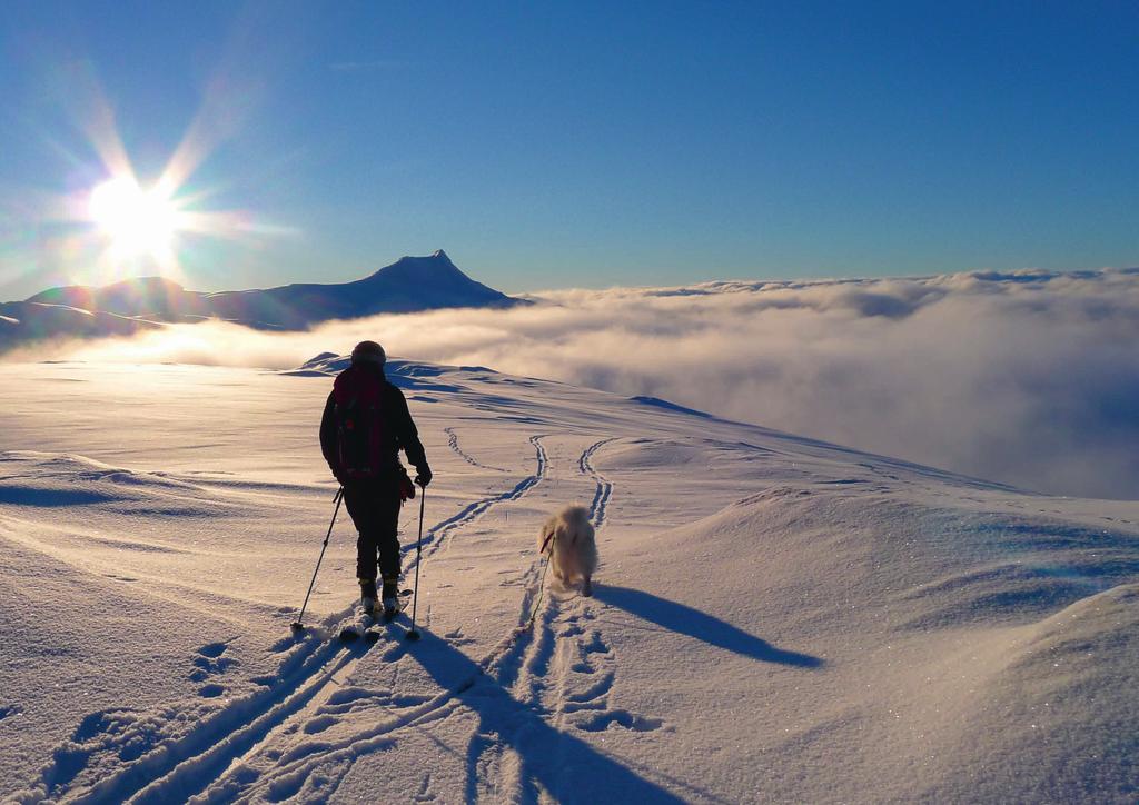 På veg ned frå Spørteggbu (Hytta på Mannen). Vangsen i bakgrunnen. Foto: Jostein Aasen.