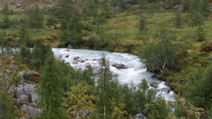 naturtilstand. Einaste moglege ureiningskjelde er ureining frå nokre beitedyr.