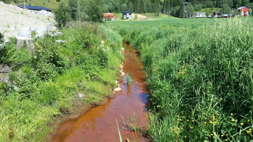 2 ANALYSERESULTATER OG KLASSIFISERING AV ØKOLOGISK TILSTAND Bekken frå Vindheim Analyseresultat av kjemiske parametrar, bakteriar og begroingsalgar (PIT) syner at tilstanden i høve til