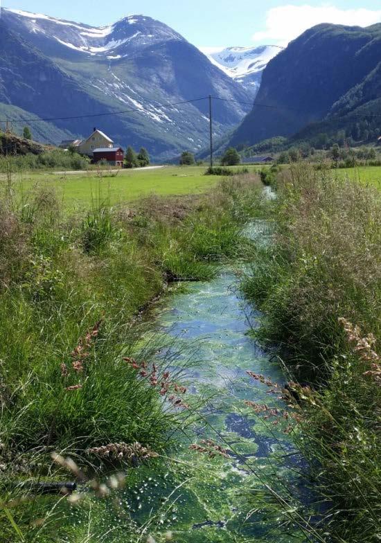 Det er stilleståande vatn i open grøft/kanal med tilsig frå