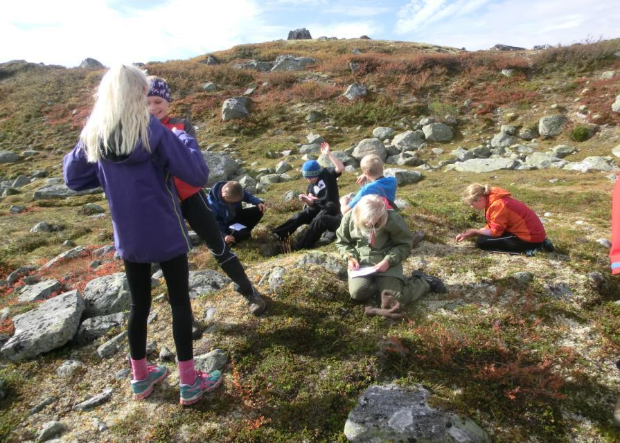 Elvene skal nå være fri for parasitter. Arbeidet med å bygge opp igjen laksebestandene starter opp til neste år.