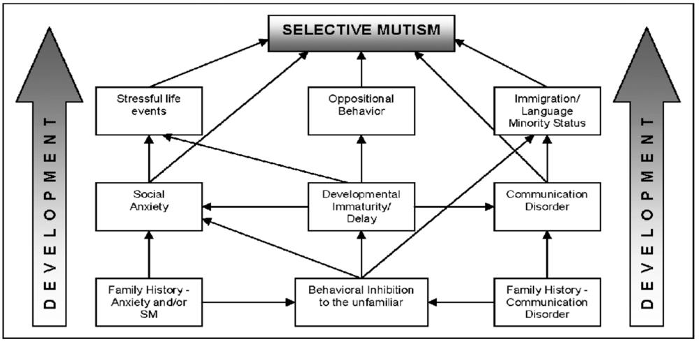 3 Risikofaktorer og komorbiditet Figur 1: Cohan, Price & Stein, 2006, s. 352. Denne illustrasjonen viser en rekke mulige årsaker til hvorfor et barn utvikler selektiv mutisme (Cohan et al., 2006, s. 352).