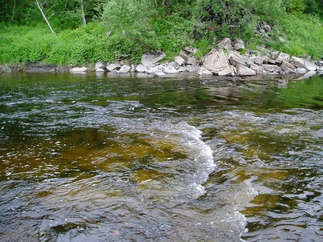Lundselva Lundselva er største tilløpselv til Leksdalsvatn. I Lundselva ble det fanget 25 ørret på middels vannføring. El-fisket ble foretatt nedenfor RV759.