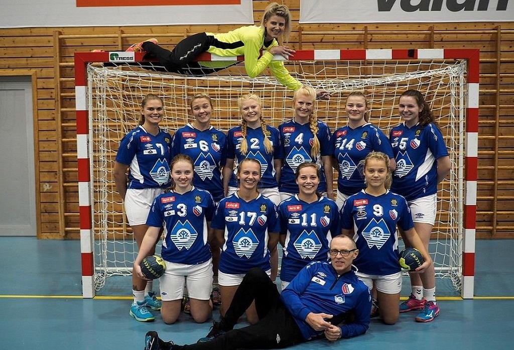 ÅRSRAPPORT 2018 Handball: Lag: Senior Herre Organisering Lagleder: Anders Kjønås / fra ca 1.