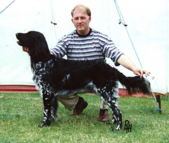 Sh. Ch. Grunjagen Berry D.o.B: 23.03.1994 Sire: Ch. Ghyllbeck Holcus Dam: Sh. Ch. Saundby Anja of Grunjagen Breeder: Mr. K. Groom Owner: Mr. K. Groom Ch. Ghyllbeck Holcus Sh. Ch. Saundby Anja of Grunjagen Sh.