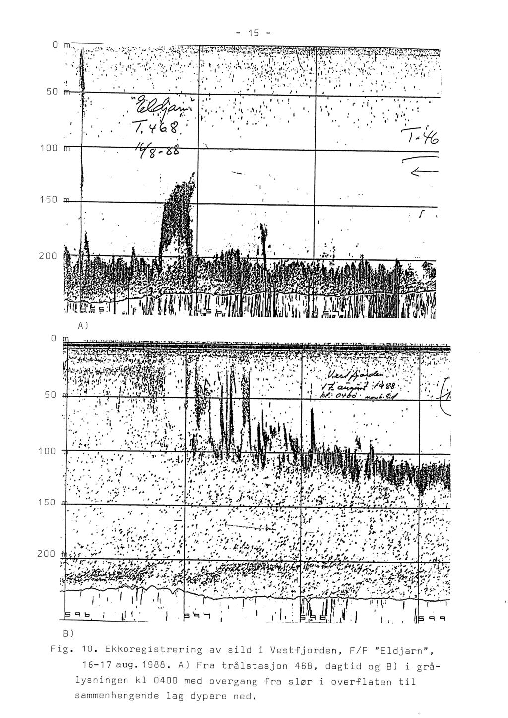 o m.... 1 5 50 100........ ~.... l.,. ~~ l l., ',.,l: 'l :.. l l l,... l,., i l l... l,t, l,. l. '.. 'l ;, ),. % l,..--- l ~- 1 50 'l r 0. o A) 50 100 150 0 B) b l' ~. l l i. Fig. 10. Ekkoregistrering av sild i Vestfjorden:~ F/F "Eldjarn", 1 6-1 7 a ug.