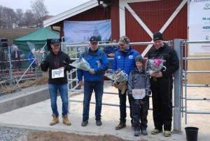 Okseauksjonen på Staur Eiere av testvinnerne framme Semin oksene Manitu og Milorg i ringen Okseauksjonen ble som vanlig avviklet på Staur.