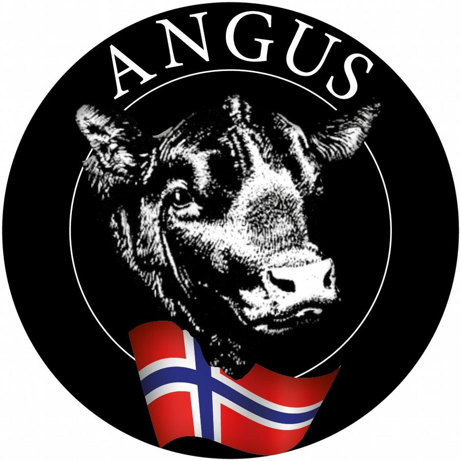 Angusavtalen. Angusavtalen i samarbeid med Prima og Nortura går sin gang. Vi mangler fortsatt en god del leveranser for og dekke det Norske markedet.