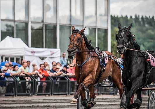 Start ca. kl. 6.50 Montéprøveløp Tidskrav: Varmblods: 4 år og eldre:.5,0 Kaldblods: 5 år og eldre:.45,0 H H 0: 7 0-0 - - -7,0a -9.500 0: -0 - -0-5 -6,7a -9.