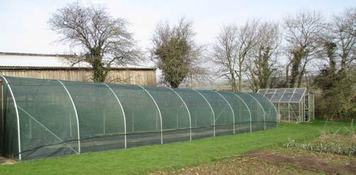 New shade tunnel assisted me in buying this tunnel. I hope that this will give me plenty of space to expand my propagation efforts. The shade tunnels have clear benefits.