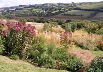 DARTMOOR HERB GARDEN Plant Heritage would not be doing its job properly if we did not promote the National Collections where possible, and on the 1 st August we arranged a visit to Fi Reddaway s