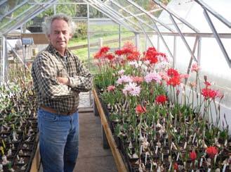 local garden designer, Jo Stopher, to help them design and lay out the garden.