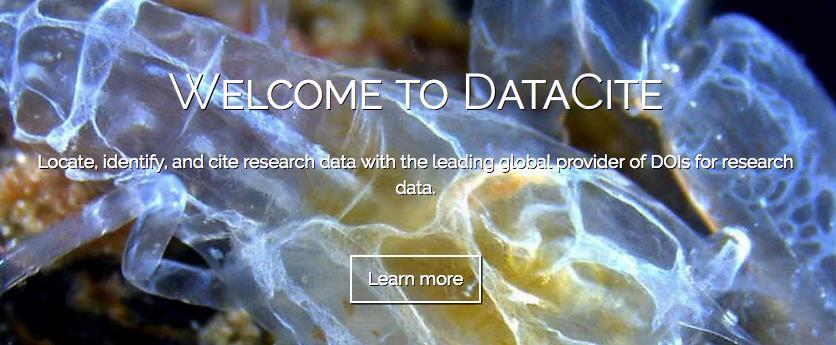 Søke data: Søkemotoren DataCite Tverrfaglig søkemotor Høster metadata for hver DOI som er tilegnet