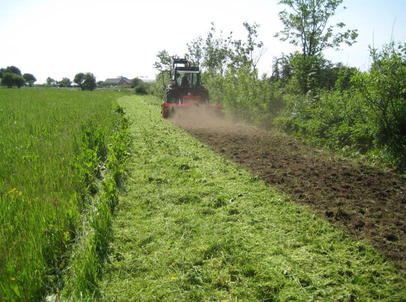 Det var litt problem med soping av plantemateriale på retur, mykje på grunn av meier under