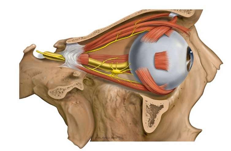 Hva er glaukom?