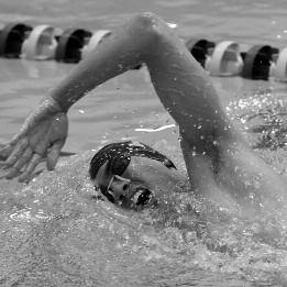 Alex Oldenkamp Senior Coppell, Texas. Breaststroke 2006, 08 All-Patriot League Joel Oviedo Senior Costa Mesa, Calif. Butterfly Academic Honors Named to Navy s Dean s List for the 2007 fall semester.