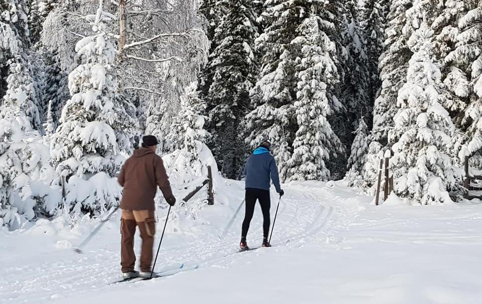 på Idretts og friluftsliv så finner du oversikt over - Skiløypenettet - Skianlegg/lysløyper