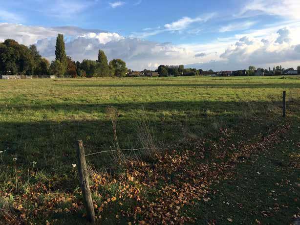 De cuestarug loopt geleidelijk af tot ongeveer op een diepte tussen 11,14m en 16,14m onder het maaiveld (0m tot -5m TAW) ter hoogte van het projectgebied.