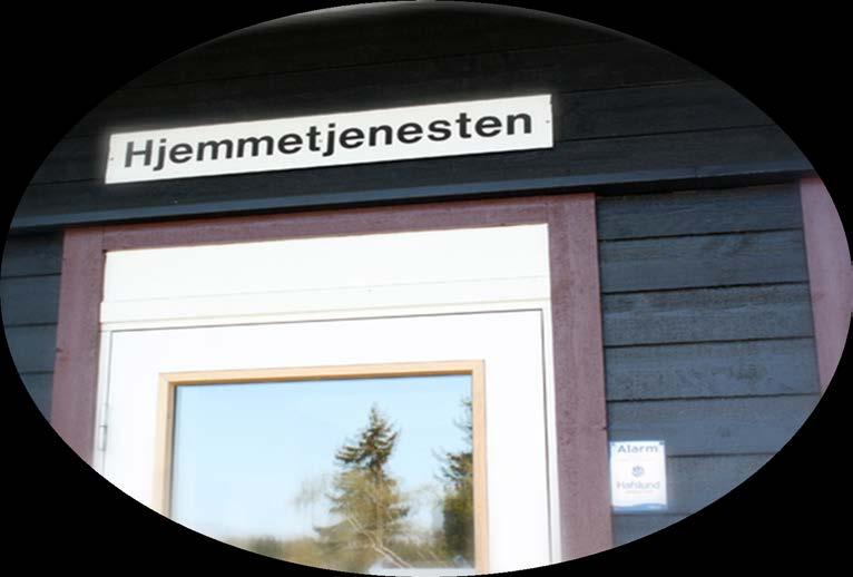 Hjemmebaserte tjenester