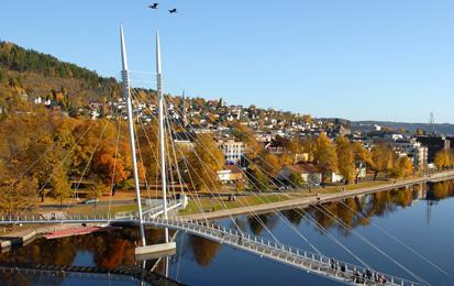 Disposisjon - Fakta om Drammen - Boligsosialt