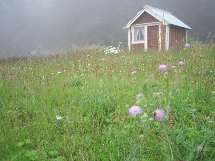 I bakgrunnen skimtes tårnet på Øverdalen kapell. Bilde 4. UTM 45191 691180. Tatt i retning nordøst.