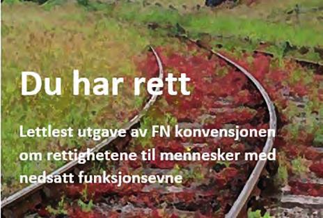 Det er viktig for alle å kunne bestemme i sitt eget liv. FNs konvensjon om rettigheter for mennesker med nedsatt funksjons evne sier at alle skal ha frihet og rett til å ta egne valg.