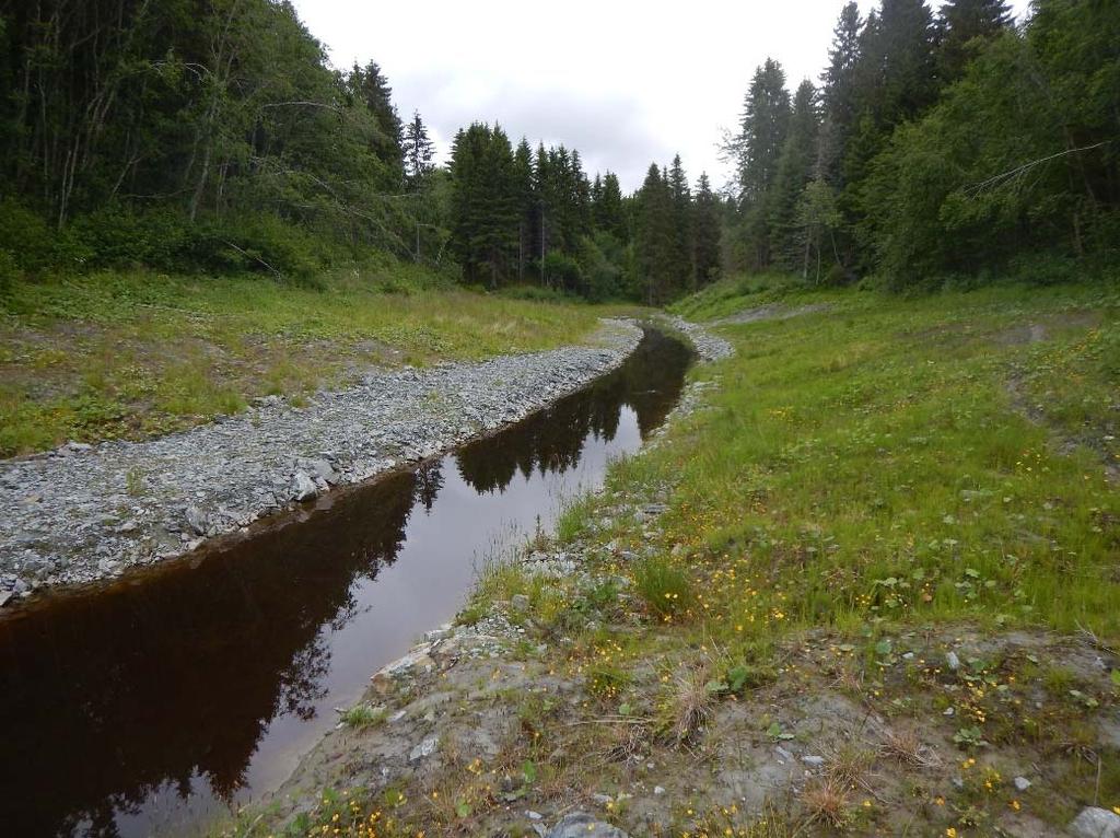 Figur 7.4 Motfylling og hevet bekkebunn i Klæbu i Trøndelag. Foto: Geir B. Hagen, NVE Hvis dårlig overflatestabilitet er en problemstilling, vil utslaking av skråningen være et aktuelt tiltak.