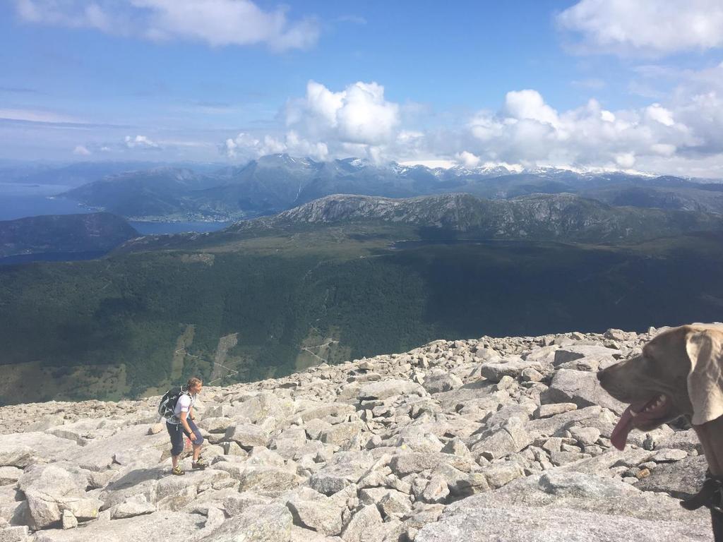 no Foto: På veg mot Englafjell frå Uskedalen.