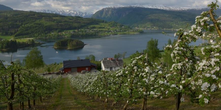 Endring i distriktsinnretning på tilskudd Eksempler på endringer i distriktsinnretning av tilskudd. Endring 2014-2019 Pr enhet Prosent Melk Sone D. Kr/liter 9 ør/liter 20 % Kjøtt. Sone 2.