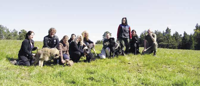 Medlemmer på BSBK-kurs. Foto Grethe Olsen.