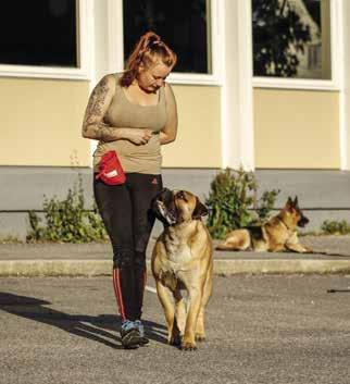 Jeg hadde på forhånd bestemt meg for å bruke kun lek og meg selv som belønning, ikke godbiter.