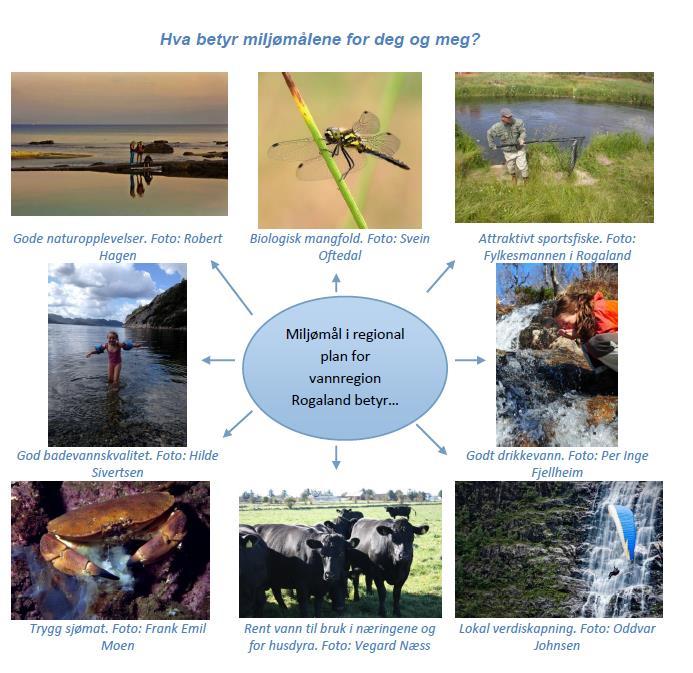 Miljømålene i regional vannforvaltningsplan betyr Figur 17. Illustrasjon av hva miljømålene i vannforvaltningsplanen betyr.