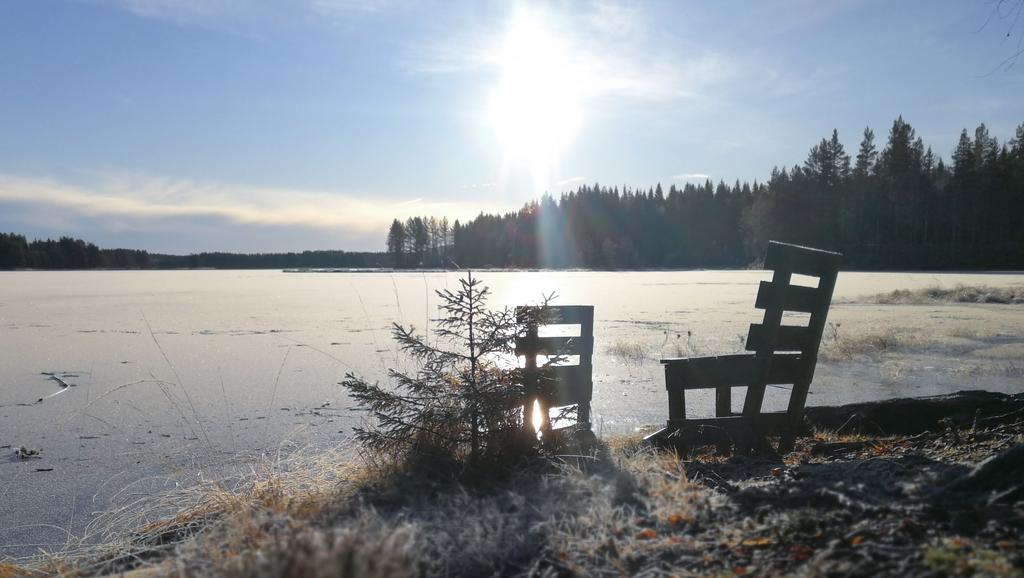 Forestill deg en tidlig høstmorgen et sted dypt inni Finnskogen. Du kryper ut av teltet og kjenner morgenkulden kile deg på nesen. Sola er på vei over horisonten. Du ser dugg på spindelvevet i trærne.