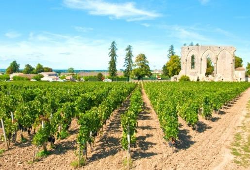 Området hører til vindistriktet Bordeaux og rødvinen som produseres her er verdenskjent for sin eksepsjonelt høye kvalitet.