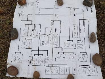 Utstyr: Håver (eventuelt dørslag), 5-10 gildebakker, pinsetter, oppslagsbøker/bestemmelsesduker. Laminerte utklipp av diverse insekter/bunndyr, predatorer etc. som kan inkluderes i en næringskjede.