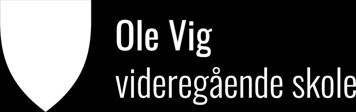 Studieleder Vegar Wold