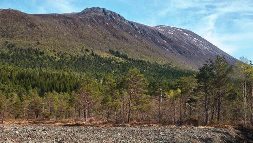 Oppsummering Pasientsentrert helsetjenesteteam er et samarbeidsprosjekt mellom UNN og Tromsø kommune, og etter hvert Harstad kommune, om et pasientsentrert helsetjenestetilbud.