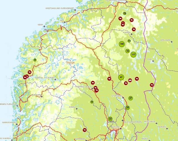 Større geografisk spredning av ulveskader i 2018: Naustdal og Guddal i Sogn og Fjordane Tinn i Telemark Hallingdalen