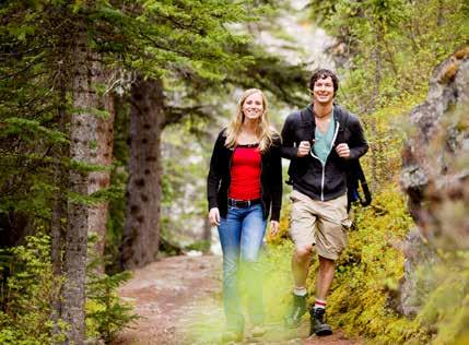 Godt tilrettelagt med stier på kryss og tvers passer Arboretet både for tur med barnevogn eller en joggetur