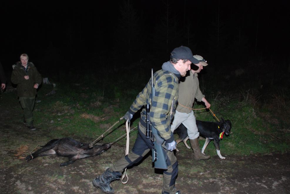 Lover & regler Ved offentlige ettersøk, så har fortsatt kommunen mulighet til å benytte lys,