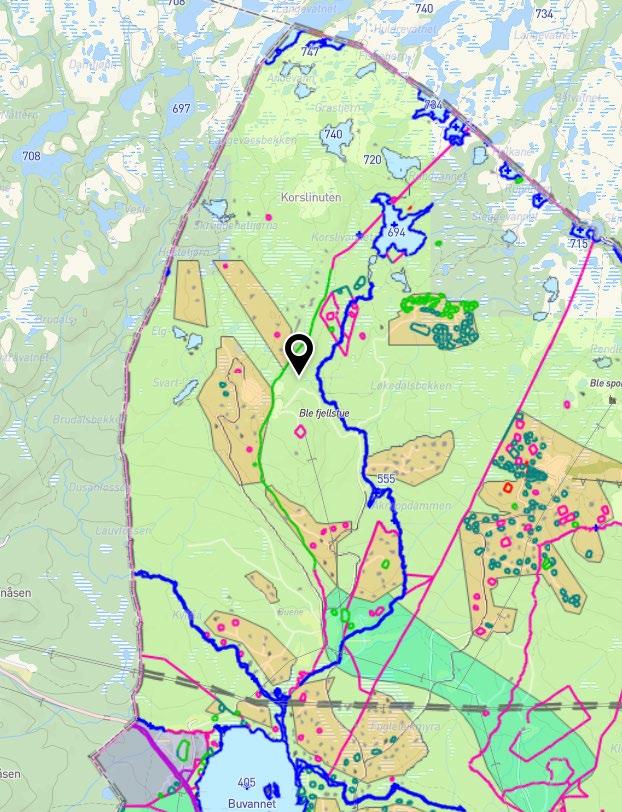 Planstatus Eiendommene omfatter areal avsatt til fritidsbebyggelse, innimellom areal avsatt til LNRF areal for nødvendige tiltak for landbruk og reindrift og gårdstilknyttet næringsvirksomhet