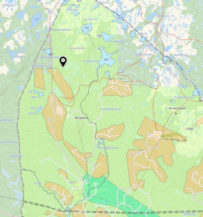 Vegetasjon, landskap og terrengforhold Foreslåtte områder for utbygging er i hovedsak registrert med uproduktiv skog og skogsareal med lav bonitet i tillegg til myrområder.