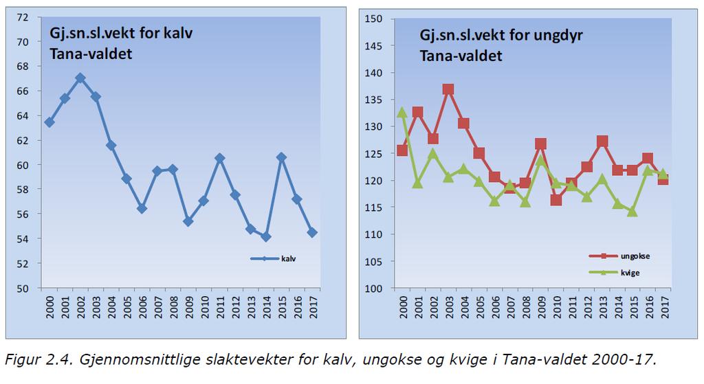 Figur 9: Gjennomsnittlige slaktevekter for kalv, ungokse og kvige i Tana-valdet 2000-2017 (FeFo 2017) Slaktevektene viser en oppgang siste året siden nedgangen i 2017 på alle parametre unntatt for